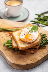 Fresh sandwiches with fried egg served with asparagus, pepper and parsley on a gray background