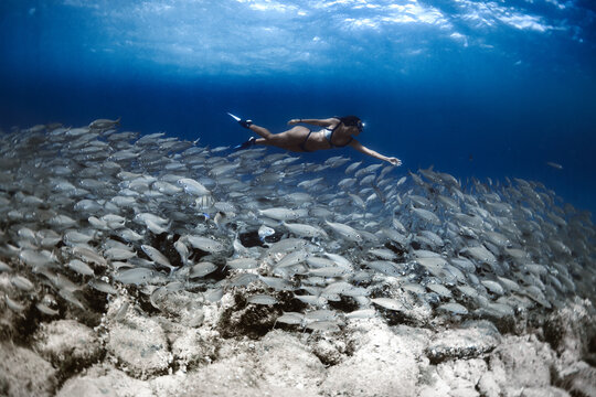 Side view full body of female traveler wearing diving mask swimming underwater near school of fish and sandy bottom