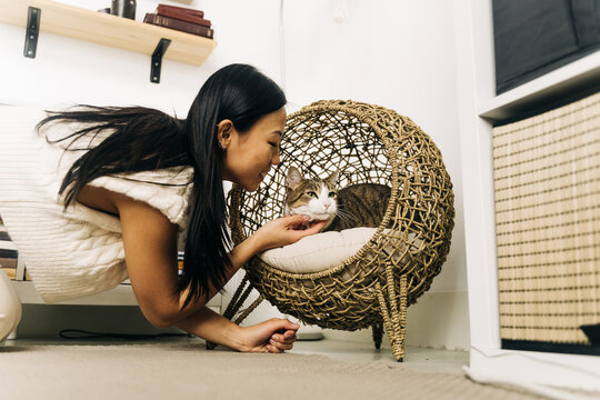 Side view of crop cheerful ethnic female caressing charming cat resting in wicker house