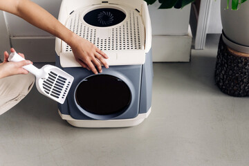 Crop anonymous person with plastic shovel cleaning pet toilet box in house in daylight