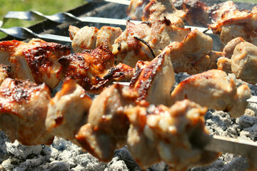 Meat is cooked on skewers, barbecue, open fire, meat on coals