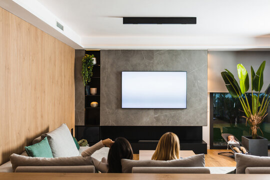Back view of lesbian couple of unrecognizable women sitting on sofa in living room with baby on a rocker watching movie on TV set while chilling at weekend at home