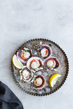 Top view fresh appetizing scallops on shells served on ice on plate with lemon slices