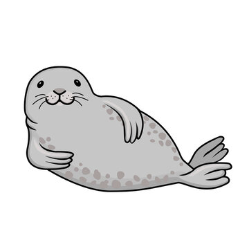 Vector hand drawn outline doodle icon fur seal isolated on white background. Happy gray seal lying on the beach and smiling to you. Ocean animal illustration.