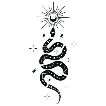Celestial snake, Boho, Witchy viper vector illustration