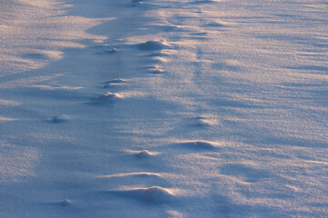 Snowy field with bumps of snow from the wind