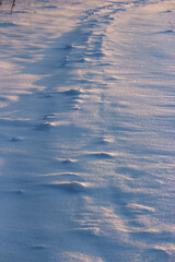Snowy field with bumps of snow from the wind