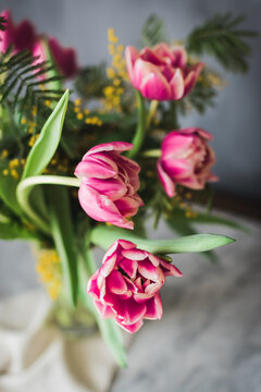 Blossoming pink flowers with gentle petals and green leaves in vase on gray background