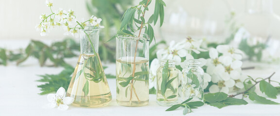 Concept of laboratory drug research for beauty products. Natural organic ingredients, pure herbal and flower extract, medical ingredients for cosmetics in glassware. Close up, white background banner