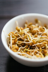 Fenugreek sprouts in a small bowl