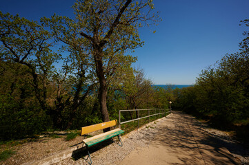 road leading to the descent into the sea