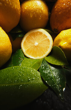 Appetizing fresh ripe juicy oranges and lemon with drops of water and green leaves