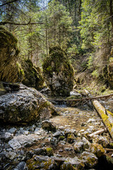 Velky Sokol gorge, Slovak Paradise national park