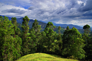 Fototapeta premium Stormy clouds over Cordiliera Central, Salento, Colombia, South America