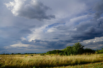 Summer landscape with cumulus clouds over field. Sky, countryside background. Windy weather.