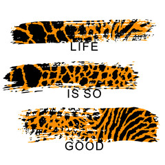 vector illustration of three brush strokes with animal print on white background. Design for t-shirts.
