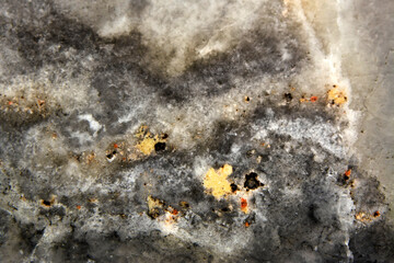 Close up  beautiful marble texture 
