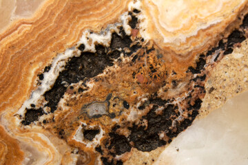 Close up  beautiful marble texture 