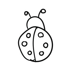 Ladybug Line Icons vector design black. Hand-drawn ladybug. Simple vector icon. Cartoon ladybug line icon. Drawing ladybug, vector sketch.