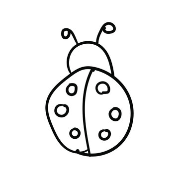 Ladybug Line Icons vector design black. Hand-drawn ladybug. Simple vector icon. Cartoon ladybug line icon. Drawing ladybug, vector sketch.