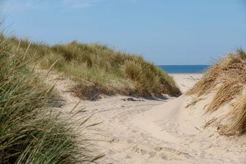 Crédence de cuisine en verre imprimé Mer du Nord, Pays-Bas Vue sur la plage depuis le chemin de sable entre les dunes de la côte néerlandaise de la mer du Nord avec de l& 39 herbe marram européenne (herbe de plage) le long de la digue sous un ciel bleu clair, Noord Holland, Pays-Bas.