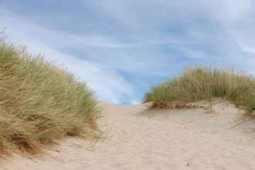 Crédence de cuisine en verre imprimé Mer du Nord, Pays-Bas Les dunes de sable ou la digue sur la côte néerlandaise de la mer du Nord avec de l& 39 herbe de marram européenne (herbe de plage) sous un ciel bleu et des nuages blancs moelleux, paysage printanier à la Hollande du Nord, aux Pays-Bas.