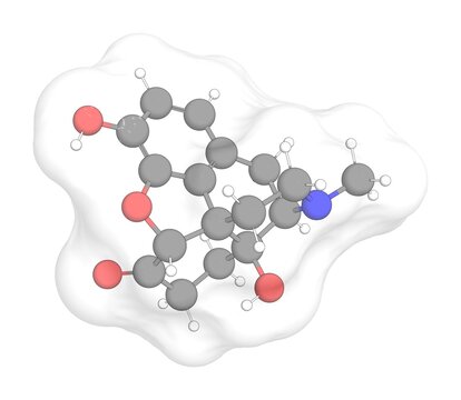 3D rendering of Oxymorphone with white transparent surface on a white opaque background. Also called numorphan and oximorphonum.