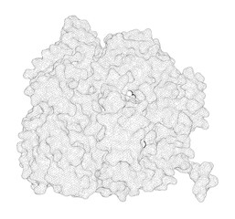 3D rendering as a line drawing of a molecule. Structural Insights into Complete Metal Ion Coordination from Ternary Complexes of B Family RB69 DNA Polymerase.