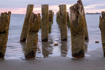 Old Pier Pilings with Texture on Ocean Beach at Sunset