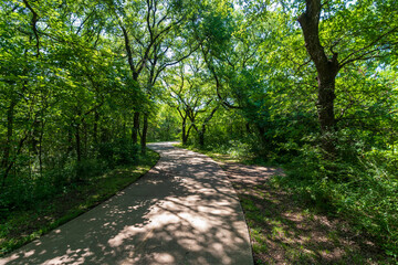 Fototapeta premium path in the park