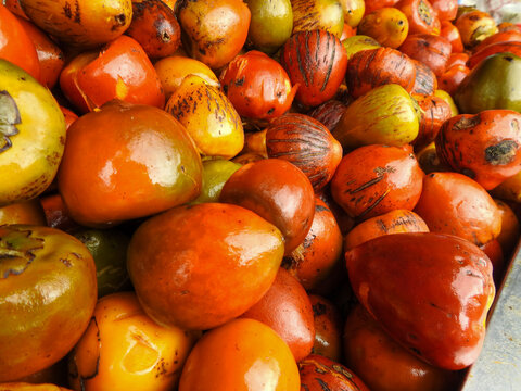 piba pejibaye pixbae or chontaduro, many names