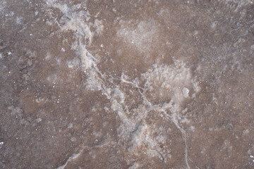 Salt rat plan in Bad water Basin in Death Valley