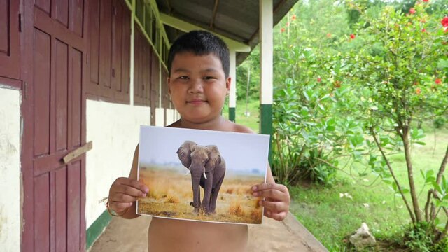 Asian Boy Holding Picture Of Elephant
