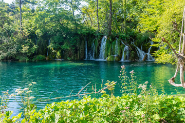 Turquoise water in Lake plitvice, croatia