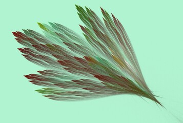 feather © nataliyapylayeva