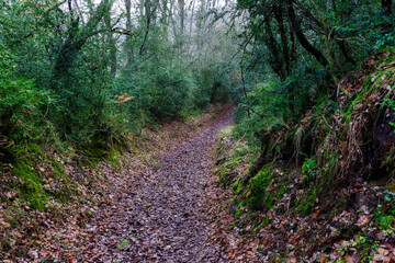 Route of the water of Bergonzo, Alava, Spain.