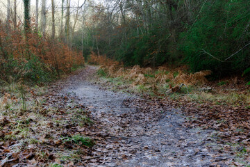 Route of the water of Bergonzo, Alava, Spain.