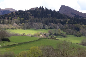 paysage d'Auvergne