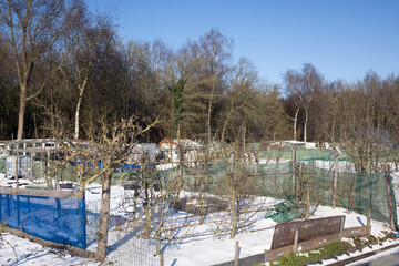 Fototapeta na wymiar Allotment garden near edge of the forest covered with snow