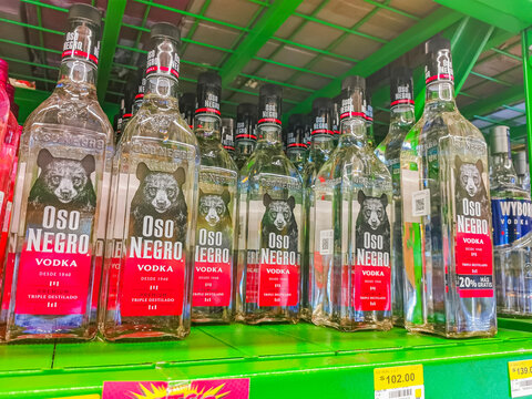 Buy Oso Negro Premium Vodka on the supermarket shelf Mexico.