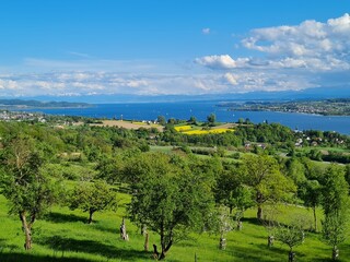 bei &Uuml;berlingen am Bodensee