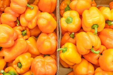 Yellow fresh paprika on the store shelf, food background