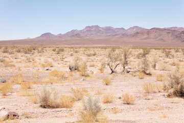 Arid plain with mountains in the background, in the Mojave Desert under a blue sky