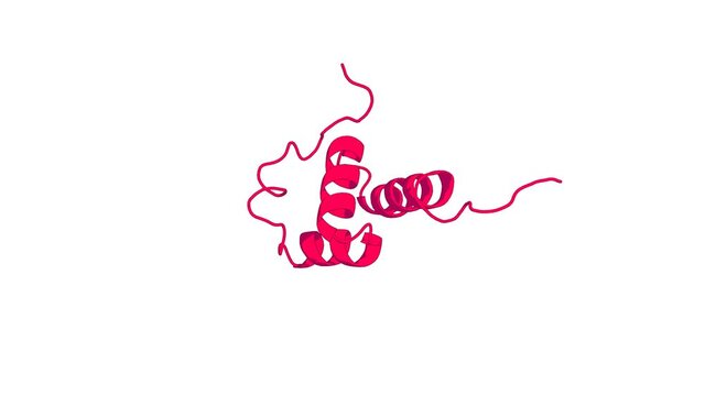 360&ordm; 3D rendering of a biological molecule. Solution Structure of the CUE Domain in the Human Activating Signal Cointegrator 1 Complex Subunit 2 (ASCC2)