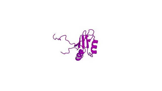 360&ordm; 3D rendering of a biological molecule. Solution structure of the RNA binding domain of IGF-II mRNA-binding protein 2