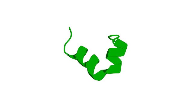 360&ordm; 3D rendering of a biological molecule. Insights into conformation and membrane interactions of the acyclic and dicarba-bridged brevinin-1BYa antimicrobial peptides.