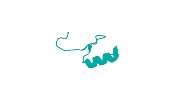 360&ordm; 3D rendering of a biological molecule. Solution structures of the DNA-binding domains of immune-related zinc-finger protein ZFAT