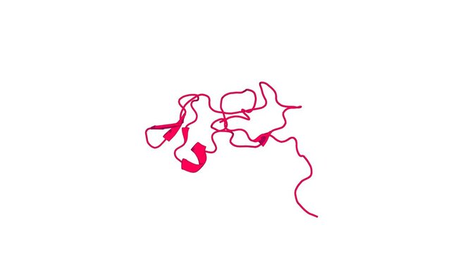 360&ordm; 3D rendering of a biological molecule. Solution structure of the CHORD domain of human CHORD-containing protein 1