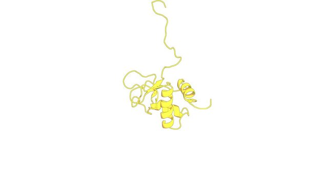 360&ordm; 3D rendering of a biological molecule. Solution structure of the DEP domain of mouse pleckstrin2