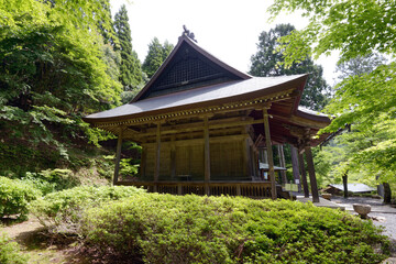 Fototapeta premium 新緑の石道寺 本堂 滋賀県長浜市